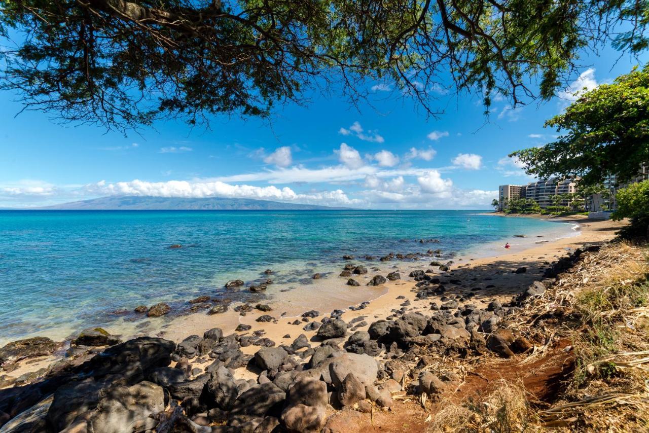 Paki Maui Condos Napili-Honokowai Eksteriør bilde